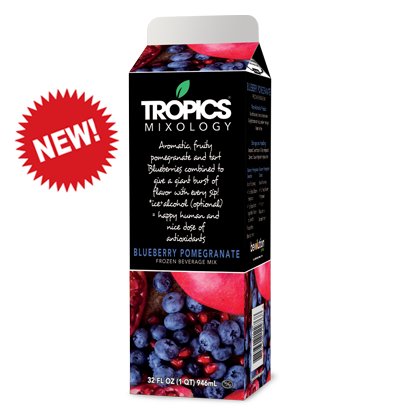 Tropics Blueberry Pomegranate Puree Mixer New